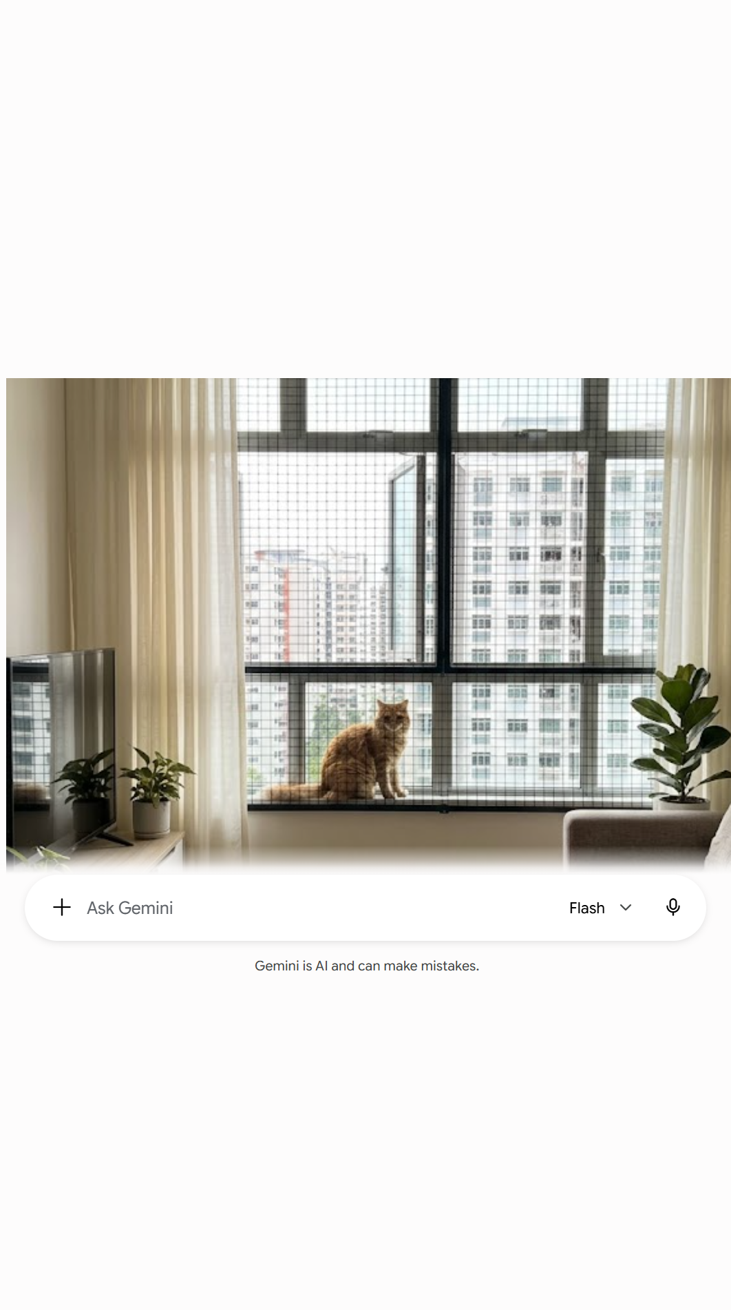 HDB living room with cat safety mesh on the window and light day curtains over it, cat sitting safely on the window sill