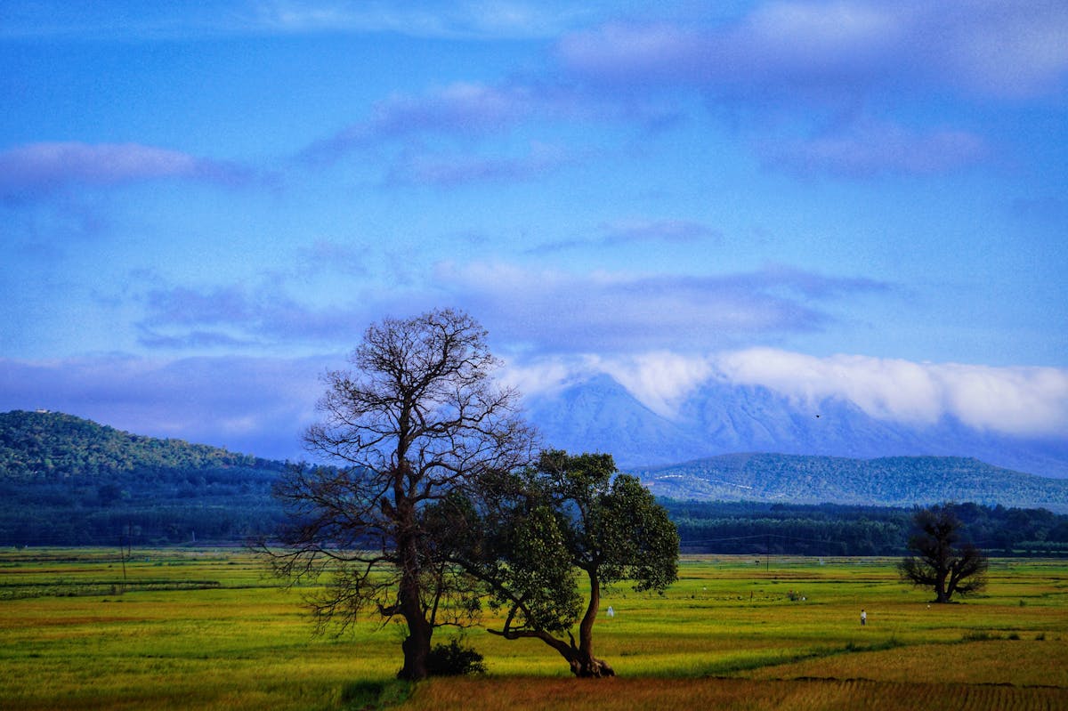 Curtain pricing options in Singapore